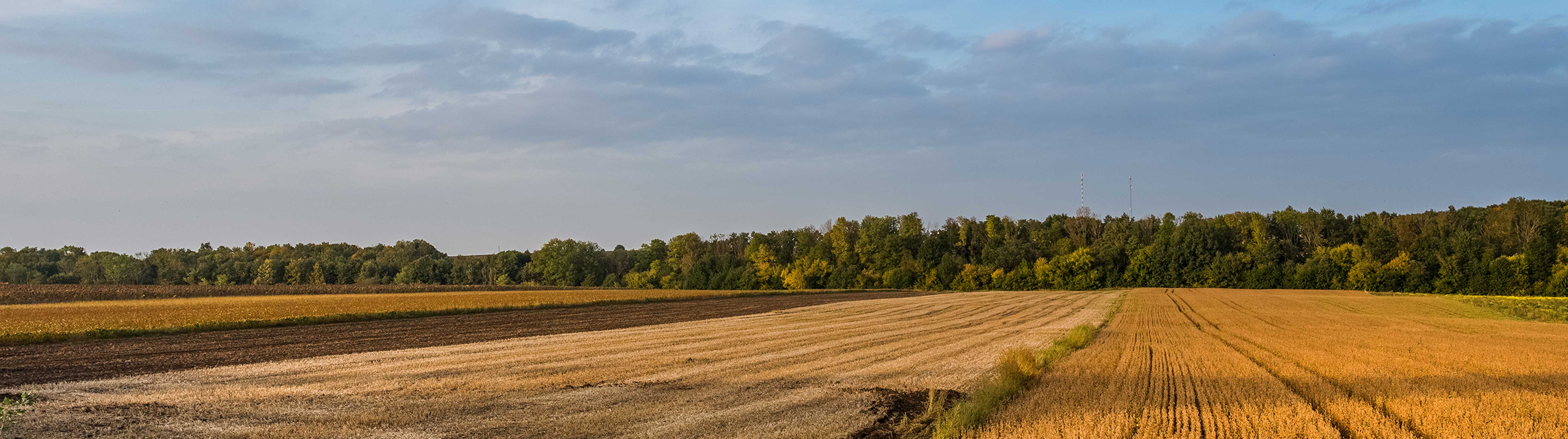 Sacramento Valley Air Quality
