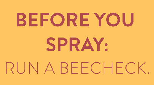 Before You Spray Run a Bee Check