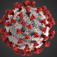 Close up of the COVID-19 virus