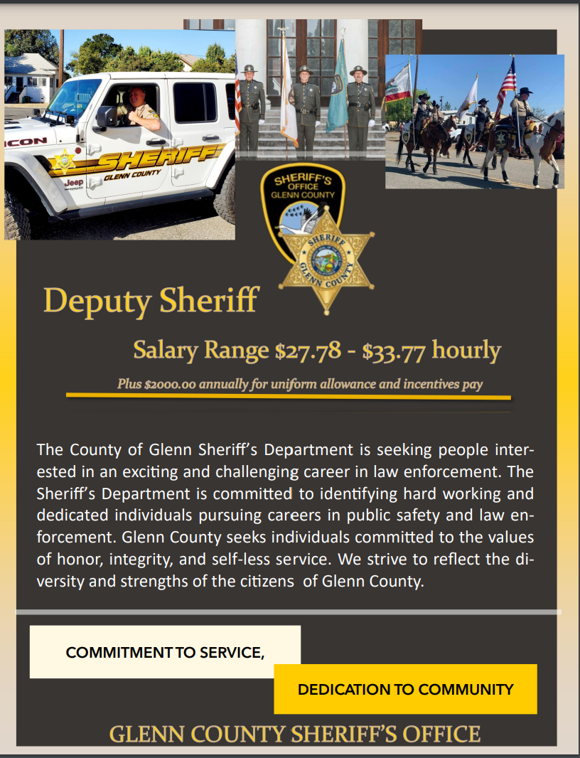 Deputy Sheriff Job Flyer icon