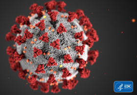 CDC picture of the COVID-19 virus